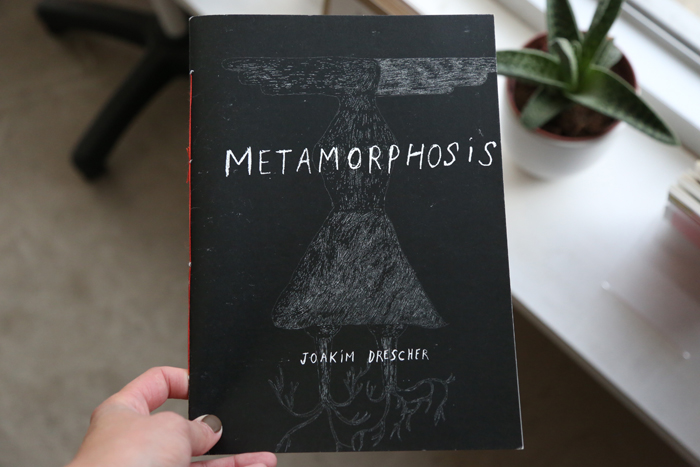 Metamorphosis by Joakim Drescher